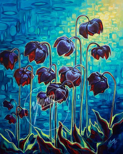 Pitcher Plants by Newfoundland artist Adam Young