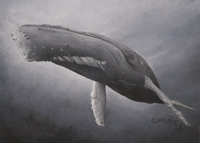 Blue Beauty by Newfoundland artist Dale Ryan