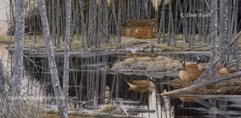 Reflections of Autumn by Newfoundland artist Dale Ryan